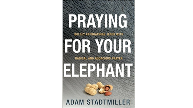 prayingforyourelephantadamstadtmiller Praying for Your Elephant - Adam Stadtmiller