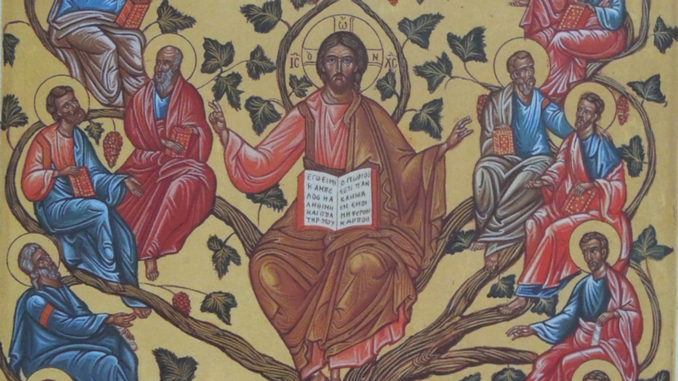 Five Minute Devotions John 15 Five Minute Devotions John 15